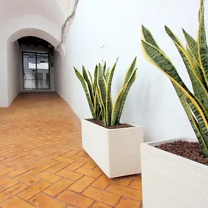 https://conildiez.es-andalucia.com